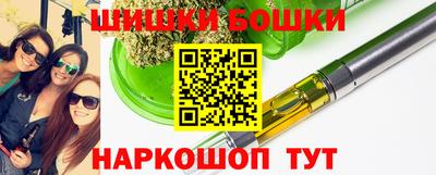 мдпв Гудермес