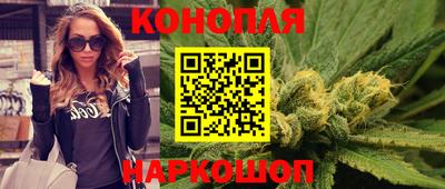 мдпв Гудермес