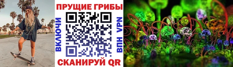 blacksprut ссылки  Белгород  Галлюциногенные грибы GOLDEN TEACHER 