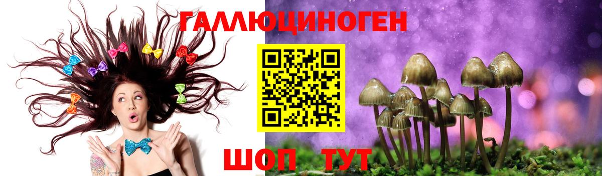 где найти   Галлюциногенные грибы мицелий  Вход с VPN  Белгород 